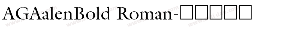 AGAalenBold Roman字体转换